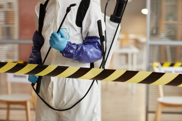 Professional Odor Removal technician working in Virginia, IL